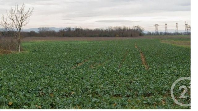 Terrain &agrave; vendre - 419 m2 - Genas - 69 - RHONE-ALPES