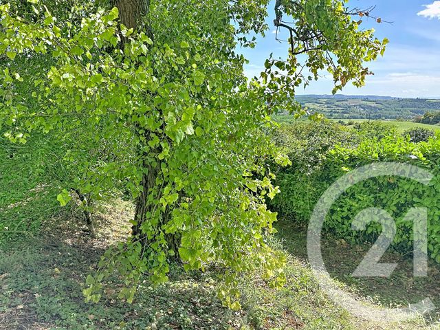 Terrain &agrave; vendre - 602 m2 - Chuzelles - 38 - RHONE-ALPES