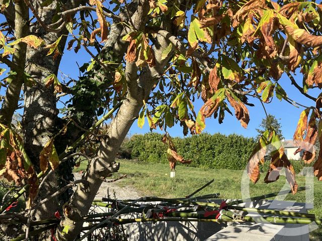 terrain - LES HAIES - 69