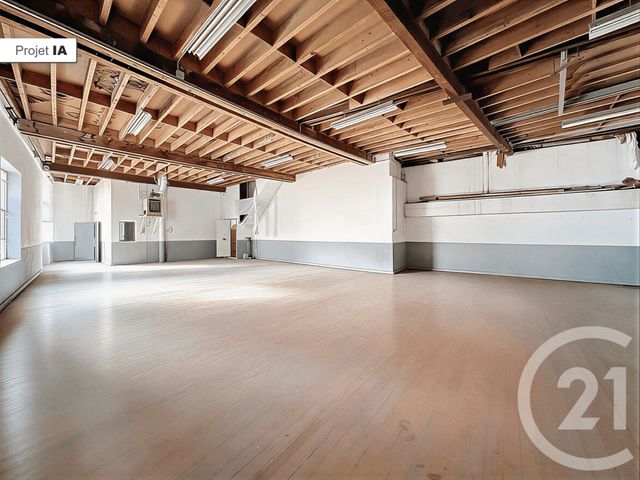 Divers &agrave; vendre - 436,83 m2 - Vienne - 38 - RHONE-ALPES