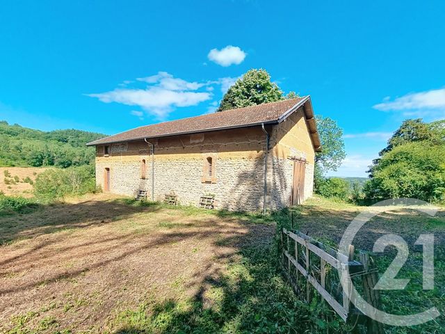 Maison &agrave; vendre - 15 pi&egrave;ces - 457,53 m2 - Eyzin Pinet - 38 - RHONE-ALPES
