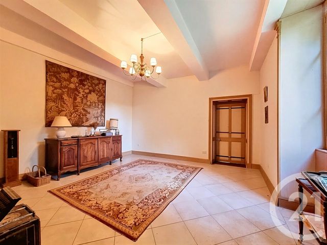 Maison &agrave; vendre - 15 pi&egrave;ces - 457,53 m2 - Eyzin Pinet - 38 - RHONE-ALPES