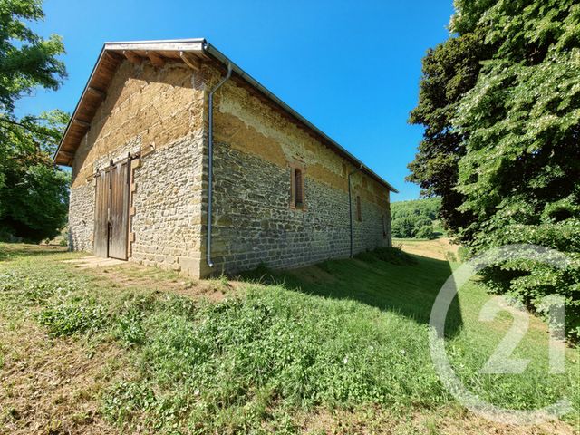 Maison &agrave; vendre - 15 pi&egrave;ces - 457,53 m2 - Eyzin Pinet - 38 - RHONE-ALPES